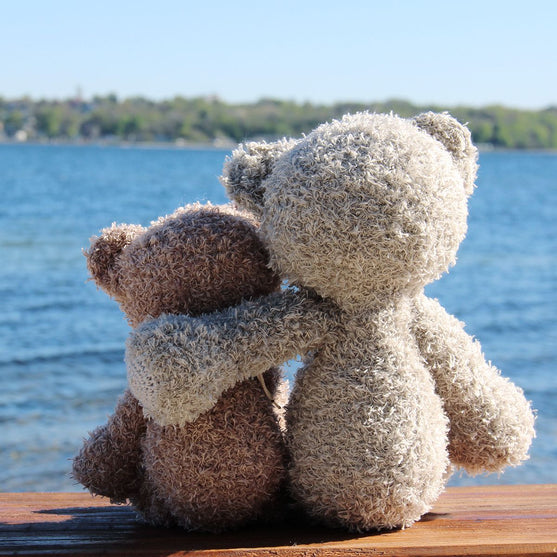 Teddy Friends
3
