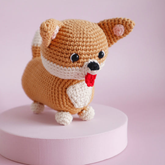 Cooper der Corgi