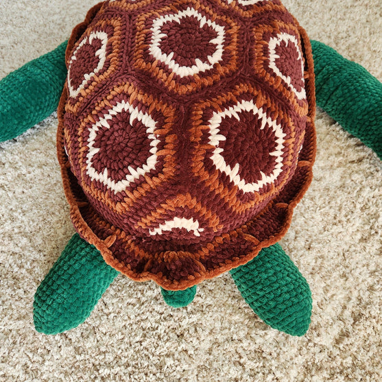 Splash, die Meeresschildkröte
5