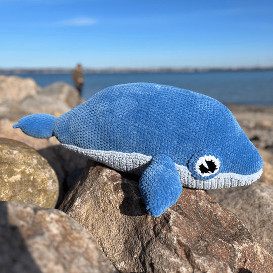 Blauwal