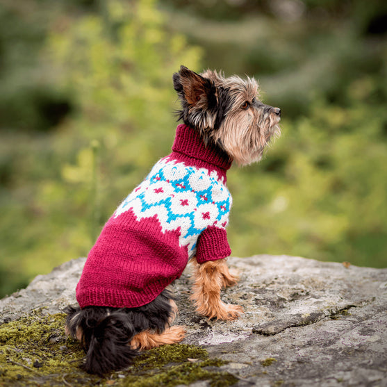 Yorkshire Terrier - Hundepullover
3