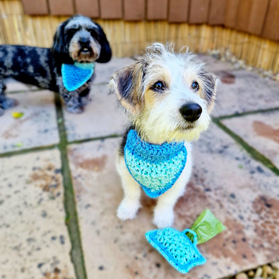 Alfie - Bandana & Passender Kotbeutelhalter
4