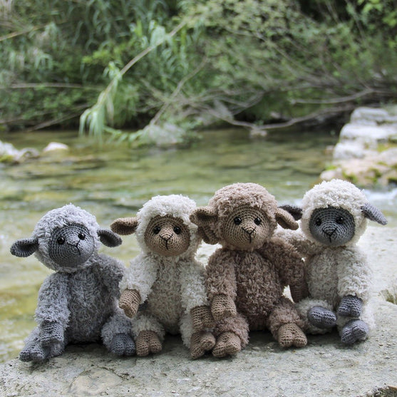 Teddy Basserne
3