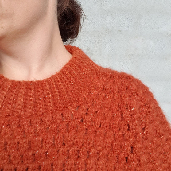 Fluffy Glitz - Pullover
3