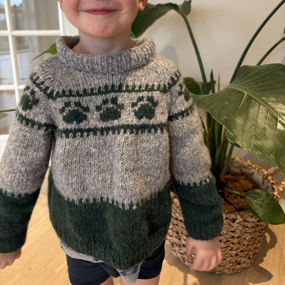Wild Paws - Kinderpullover
3