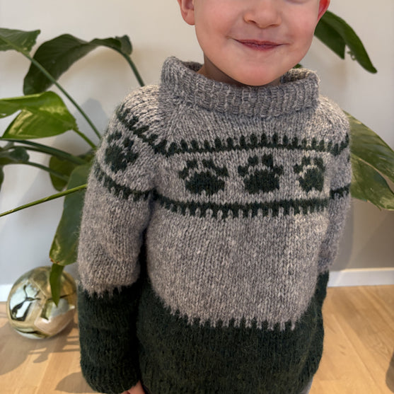 Wild Paws - Kinderpullover
2