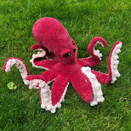 Giant Pacific Octopus
2