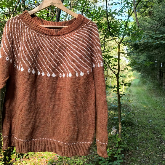 Shooting Star - Pullover
3