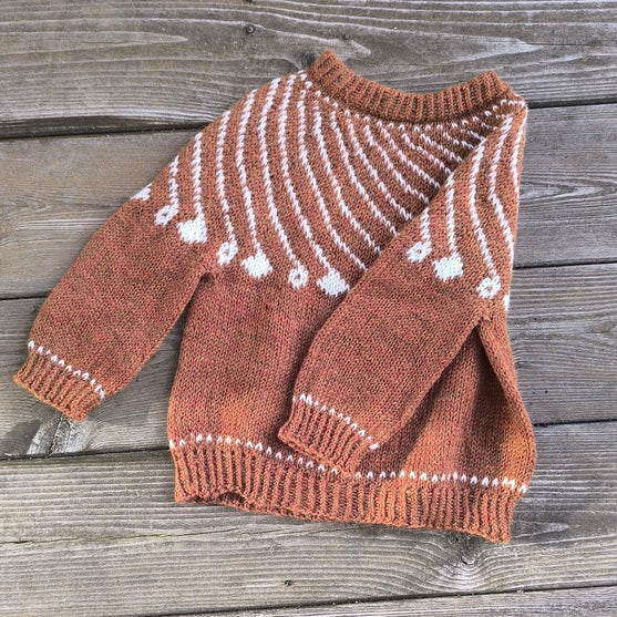 Shooting Star - Kinderpullover
2
