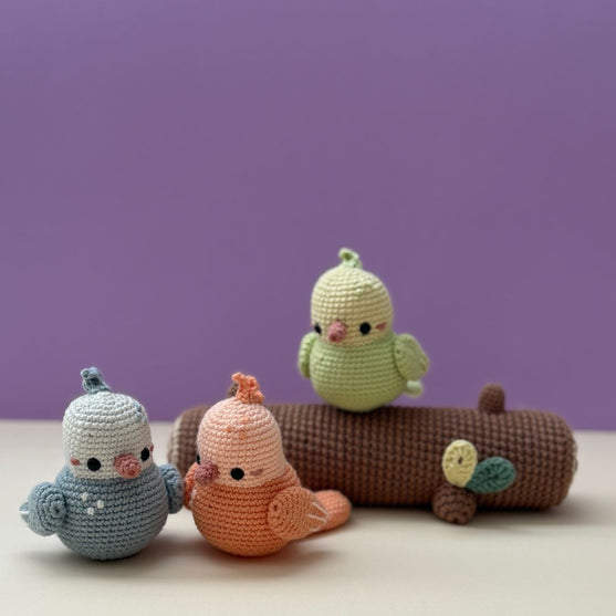 Spring Birds
2