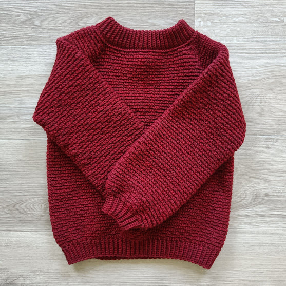 Hektors Sweater - Kinderpullover
5
