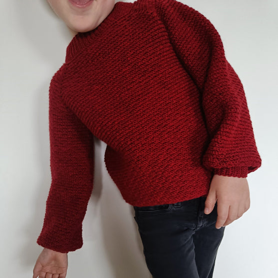 Hektors Sweater - Kinderpullover
7