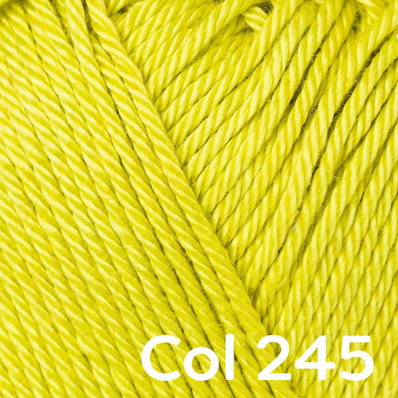 Catania - Schachenmayr
35