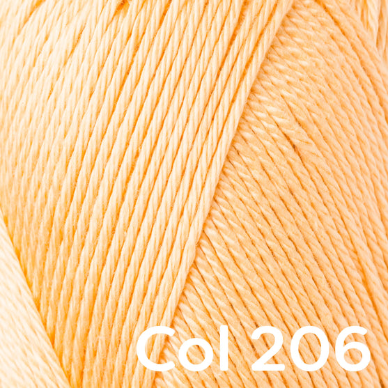 Catania - Schachenmayr
24