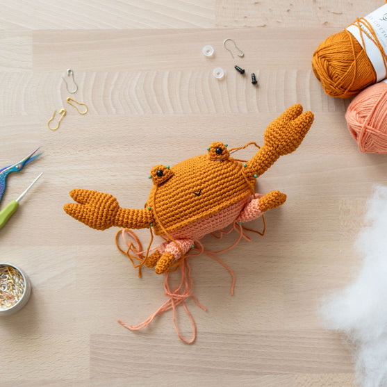 Rachele die Krabbe
4