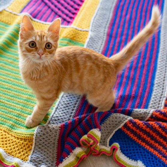 Sunlit Seaside - Decke
8