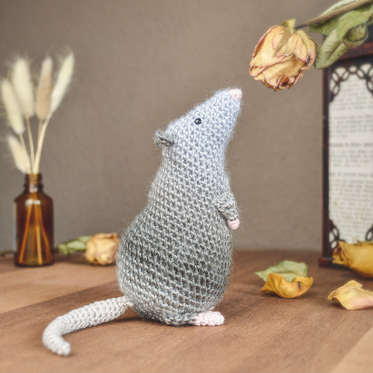 Die Ratte Rüdiger