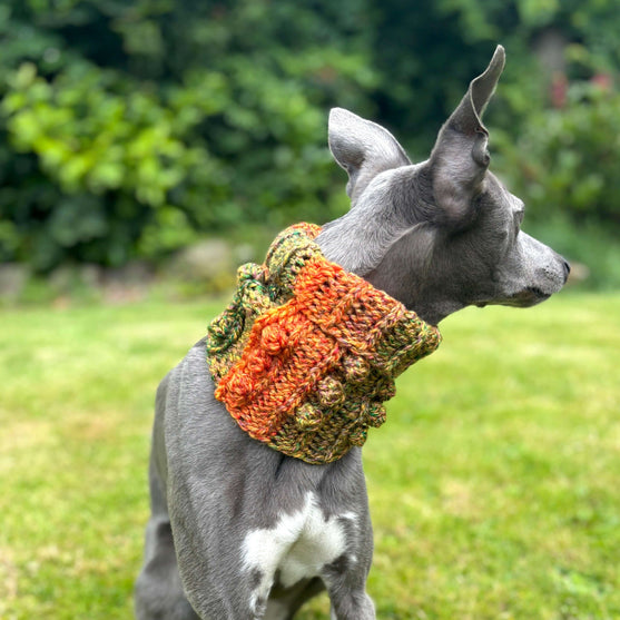 Doggy Bobble - Schalkragen
3