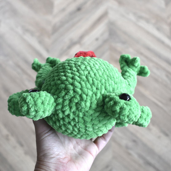 Splashy der Frosch
7