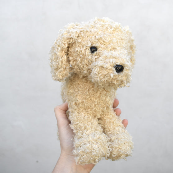 Doodle Dog
9