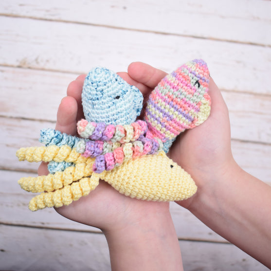 Trostfisch – Jelly Junior
2