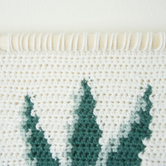 Snake Plant - Wandbehang
3