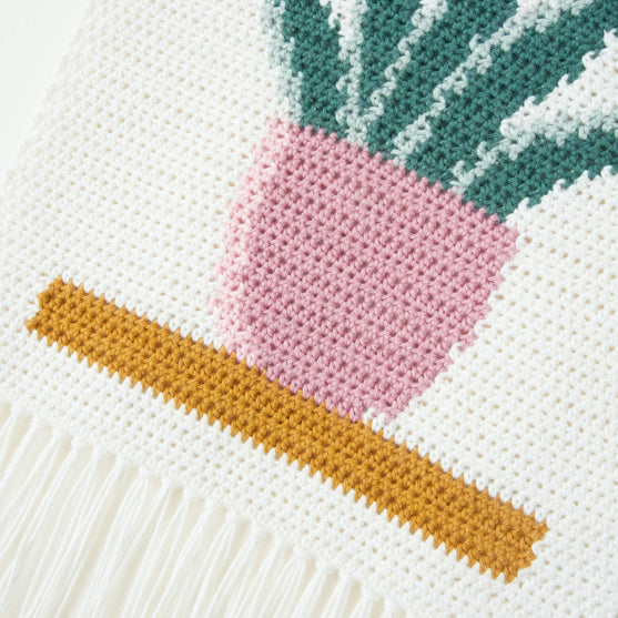 Snake Plant - Wandbehang
5