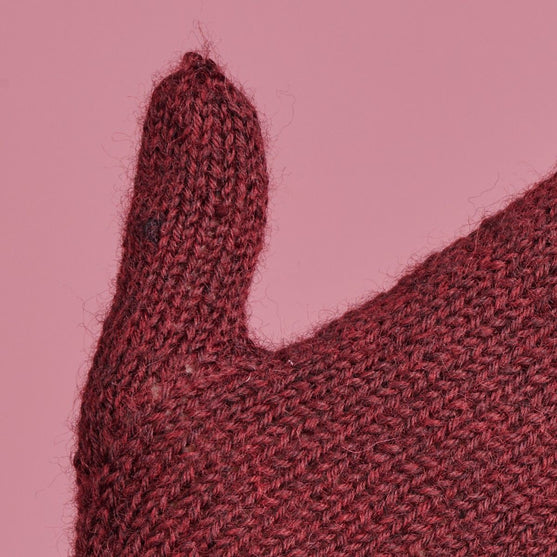 Festuca Fäustlinge
3