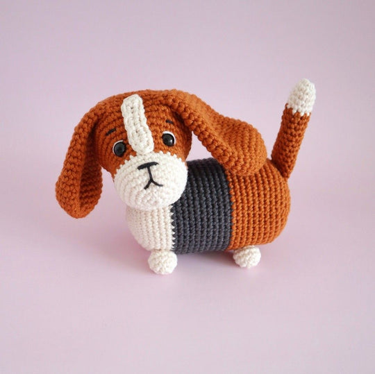 Gus, der Basset