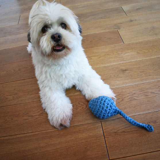 Haletudse - Hundespielzeug
2