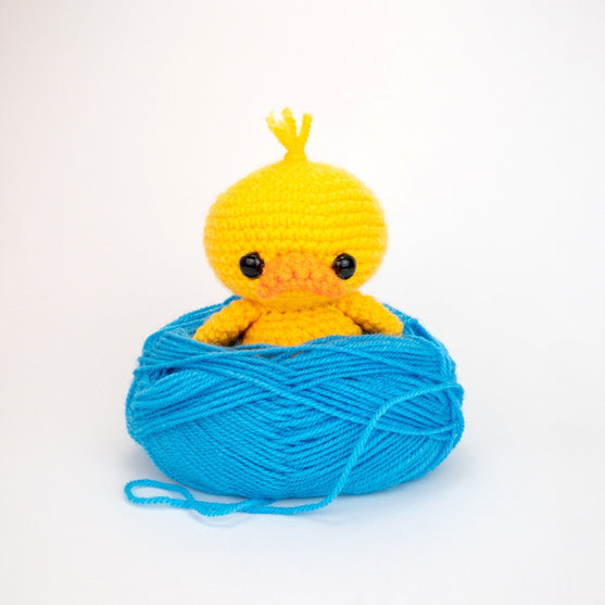 Die Ente Dilly
3