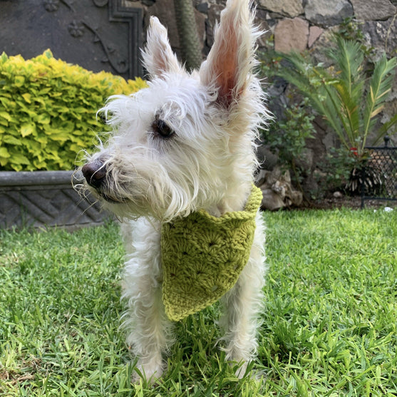 Cuddly Wrap - Hundehalstuch
4