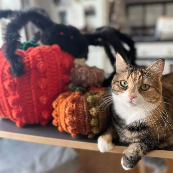 Bobble Pumpkins - Dekoration
6