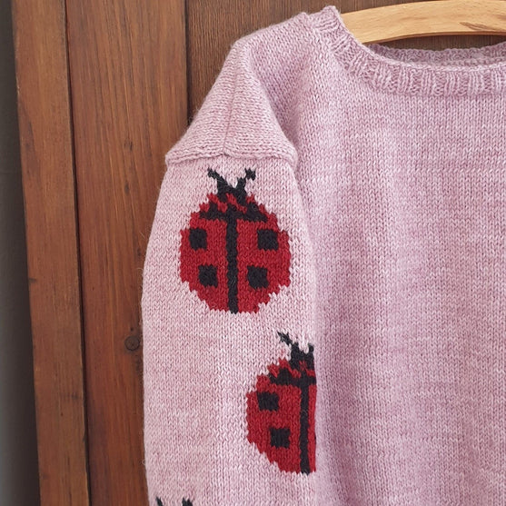 Ladybug - Kinderpullover
3