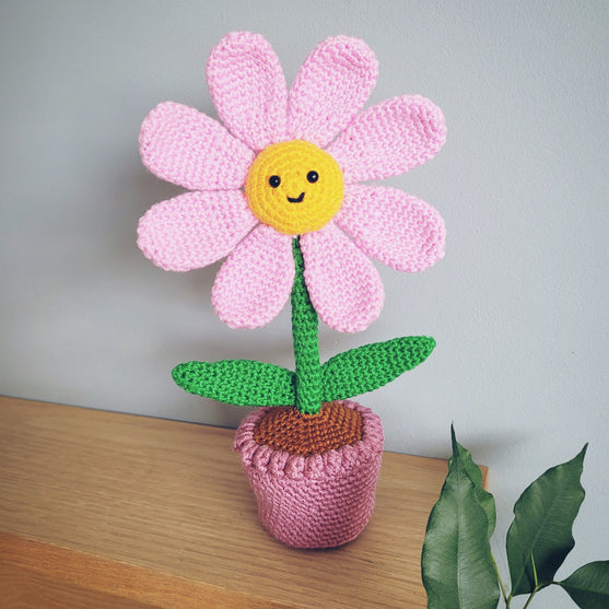 Flora der Blumentopf
1