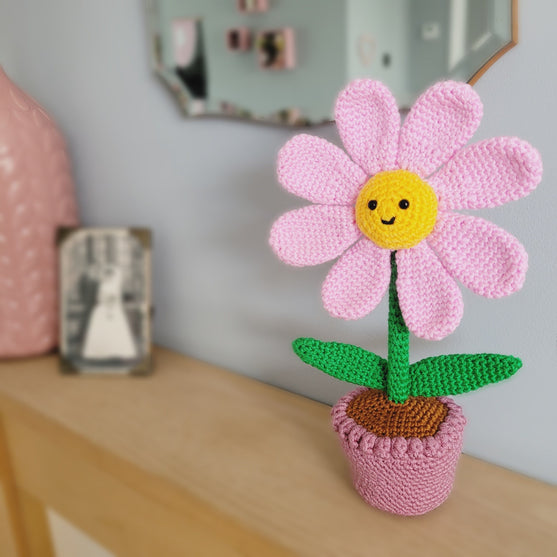 Flora der Blumentopf
2