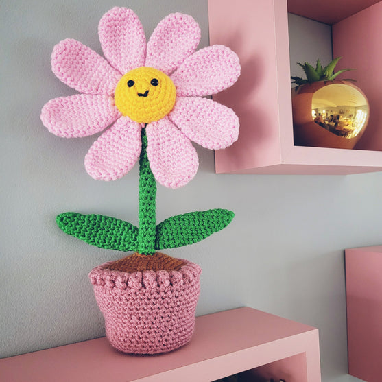 Flora der Blumentopf
3