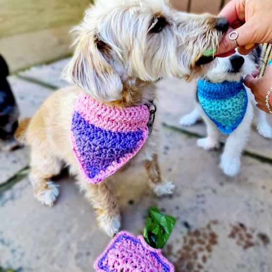 Alfie - Bandana & Passender Kotbeutelhalter
6