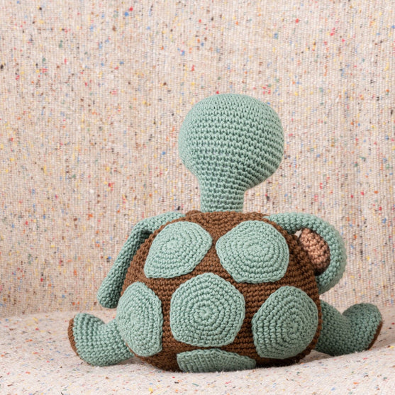 Schildkröte Theo
3