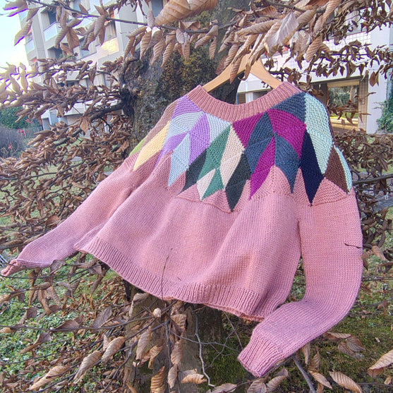 

Intarsia - Pullover
2