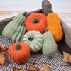 

Zucche decorative - Lunghe
3