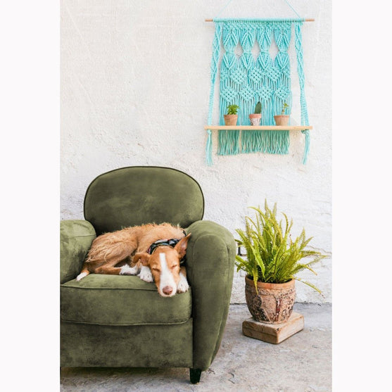 

Nova Vita 12 - 22 Wohnaccessoires Projekte - DMC
2