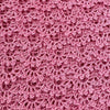 

Damask Rose - Rock
5