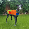 

Wally - Maglione per cani
1