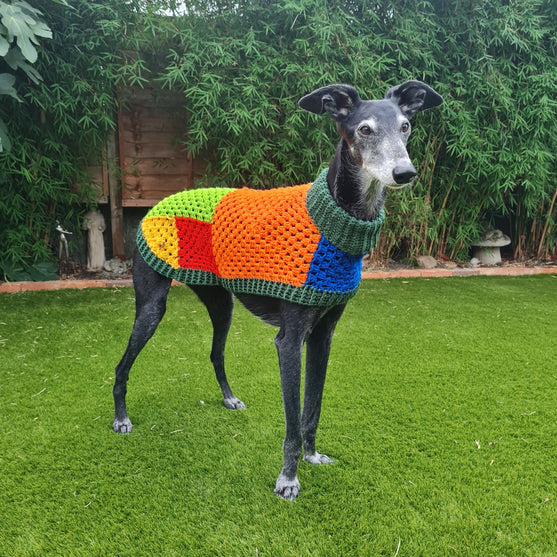 

Wally - Maglione per cani
1