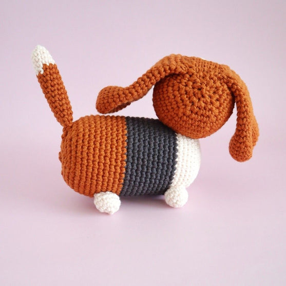 

Gus, der Basset
6