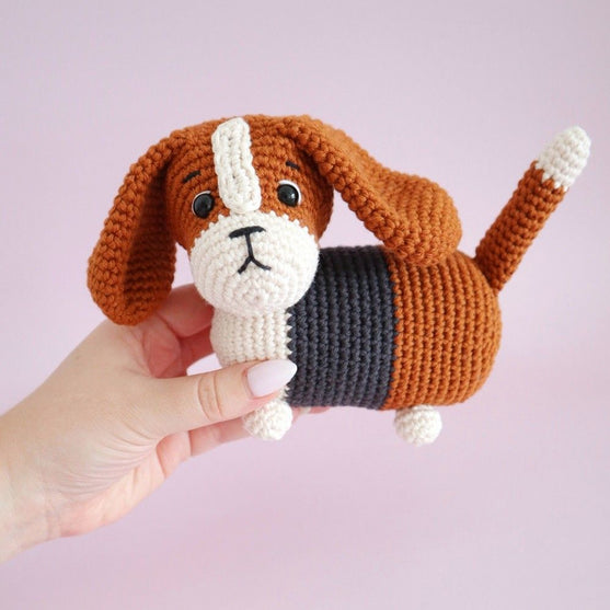 

Gus, der Basset
7