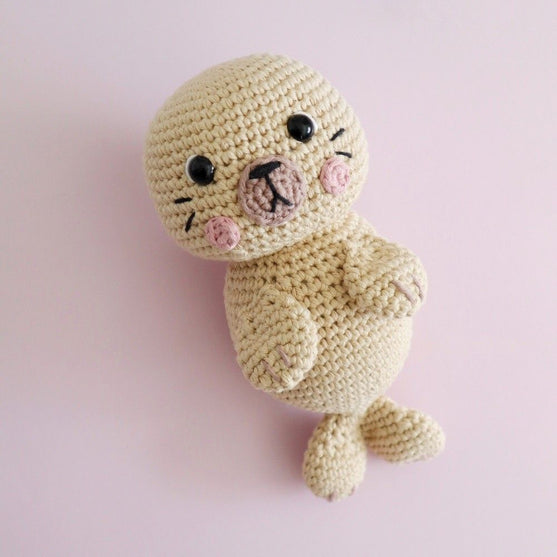 

Sandy, der Seelöwe
1