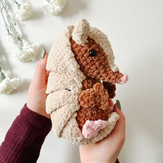 

Das Gürteltier Armando
1