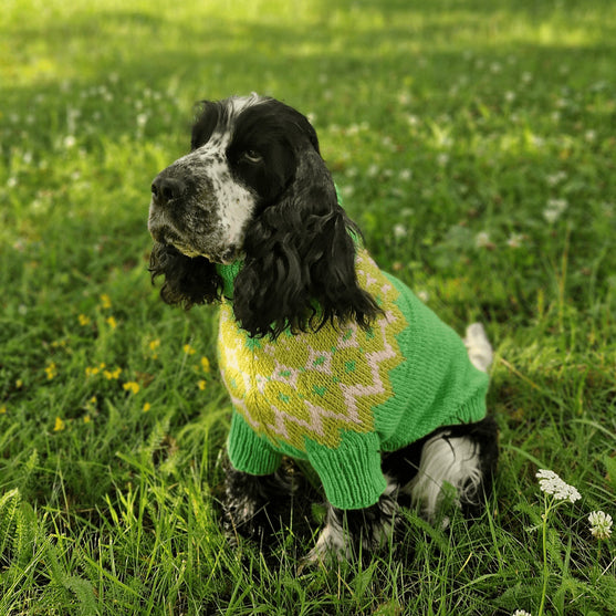 

Cocker Spaniel - Hundepullover
2